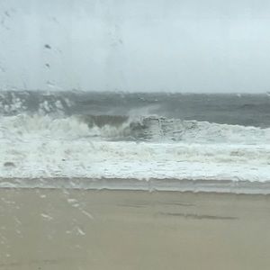 Meet your Posher, Shelly